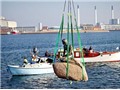 Bóng đá anh, ngoại hạng anh, lịch thi đấu euro 2012, Giả và thật hay chuyện nàng tiên cá hết câm